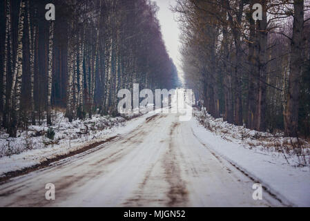 Strada sterrata coperta di neve vicino villaggio Jalowka, Voivodato Podlaskie di Polonia Foto Stock