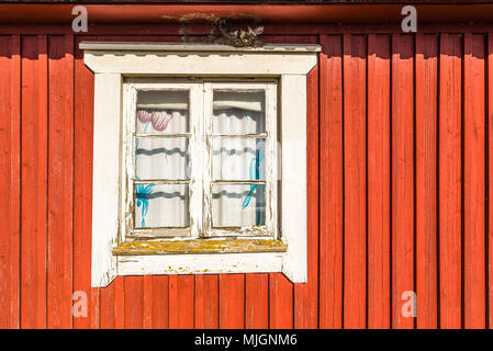 Kapelludden su Oland, Svezia. Piccola finestra vintage su un rosso cabina in legno. Il vecchio nido di uccelli sopra il telaio della finestra. Foto Stock