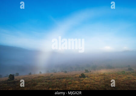 Arcobaleno su misty meadow durante la mattina. Paesaggio con vista cielo blu Foto Stock