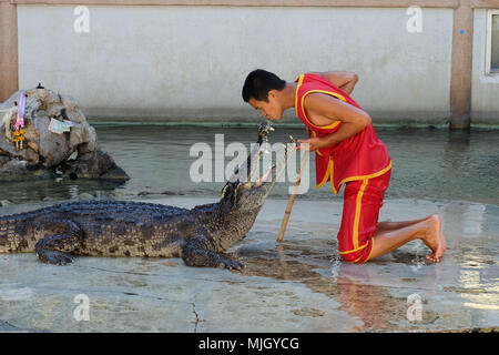 SAMUTPRAKARN, Tailandia - 18 Aprile: crocodile show al Crocodile Farm on April 18, 2015 in Samutprakarn,Thailandi nd. Questa eccitante spettacolo è molto famoso amon Foto Stock