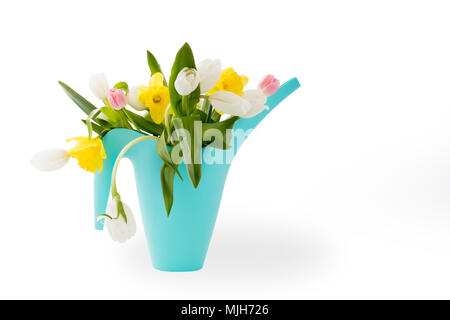 Blue Annaffiatoio in plastica con un mazzo di fiori di daffodils giallo e bianco e tulipani rosa su sfondo bianco. Accessori giardino. Foto Stock