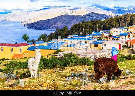 Vista su llama su Isla del Sol dal Lago Titicaca - Bolivia Foto Stock