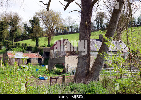 Abbandonato Irish homestead fuori Carrickmacross, nella contea di Monaghan Foto Stock