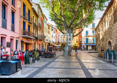 Outdoor Cafe nella piazza principale della città, Collioure, Pyrenees-Orientales, Francia Foto Stock