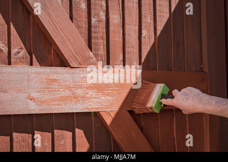 La donna vede la verniciatura di un legno, costruito ingresso sincronizzato con un grande pennello di legname. Questa messa a fuoco poco profonda è immagine del pennello. Foto Stock