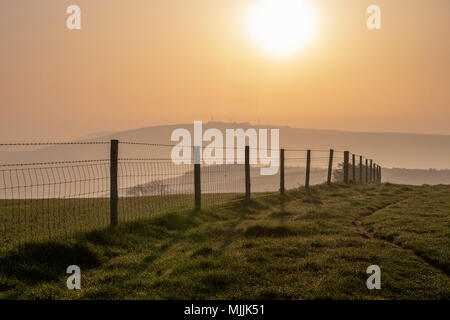 La mattina presto sulla South Downs modo sopra Steyning ciotola, West Sussex, Regno Unito. Foto Stock
