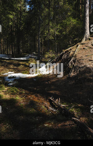 L'acqua di fusione del ghiaccio che scendono dalla collina fino al lago di foresta. Foto Stock