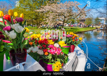 Barca in canal con vasi di fiori a giardini Keukenhof in Lisse Paesi Bassi di primavera Foto Stock