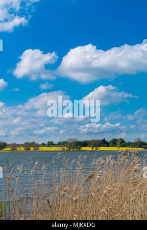 Il romantico villaggio di Sieseby, comunità di Thumby, sul Fiordo Schlei, Schleswig-Holstein, Germania del Nord, Europa Foto Stock