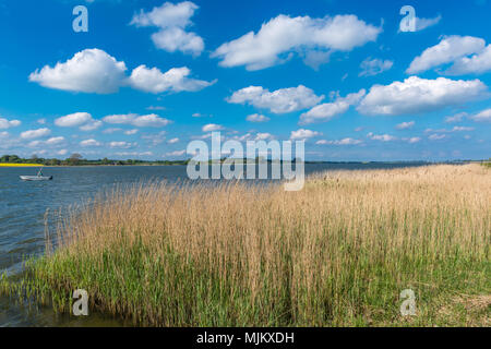 Il romantico villaggio di Sieseby, comunità di Thumby, sul Fiordo Schlei, Schleswig-Holstein, Germania del Nord, Europa Foto Stock