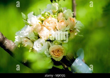 Nozze. Il decor. Sposa scarpe, un bellissimo mazzo di nozze, anelli, boutonniere e gioielli sono splendidamente steso su un grigio Sfondo di legno. Top v Foto Stock