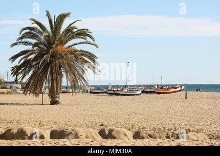 Barche di pescatori sulla spiaggia nella città balneare di Calella sulla Costa del Maresme nei pressi di Barcellona in Catalogna Spagna UE 2018 Foto Stock