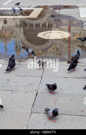 La riflessione della Basilica di St Marks nella pozza, Piazza San Marco, Venezia Foto Stock