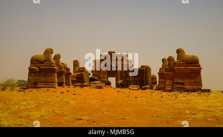 Rovine del tempio di Amun Naqa Meroe, antica Kush, Sudan Foto Stock