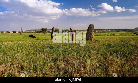 Antica Civiltà Megalitica stela campo in Axum, Etiopia Foto Stock