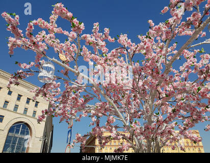 Mosca, Russia - 14 Aprile. 2018. artificiale alberi fioriti su piazza Lubyanskaya durante il festival regalo di Pasqua Foto Stock