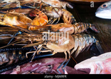 Aragosta fresca sul mercato di frutti di mare. Vista dettagliata Foto Stock