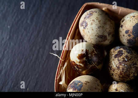 Avvistato uova di quaglia disposti in fila in una casella su un flat dark sfondo nero, vista dall'alto, profondità di campo, retroilluminazione. Alcuni spazi di copia per il tuo sistema Foto Stock