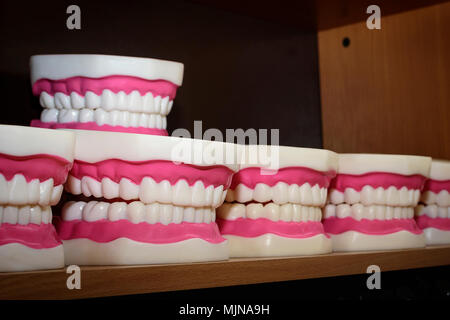 Denti anatomici modelli, il concetto di medicina Foto Stock