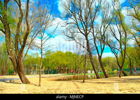 Inondazioni in parco pubblico in primavera. Inondati di alberi nella primavera del parco. Gli alberi fioriscono in primavera. Salici nel parco in primavera. Allagamento proveniente da city park Foto Stock