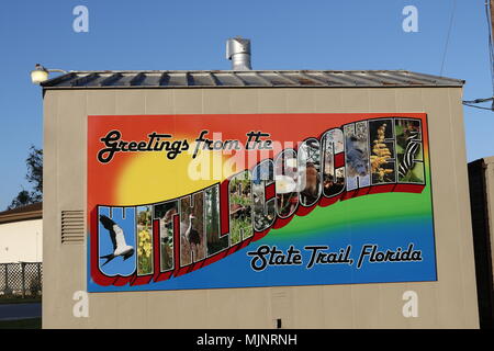 Stato Withlacoochee Trail, un 46 miglio lungo la ferrovia lastricato sentiero in bicicletta attraverso tre contee della Florida, agrumi, Hernando e Pasco. Foto Stock