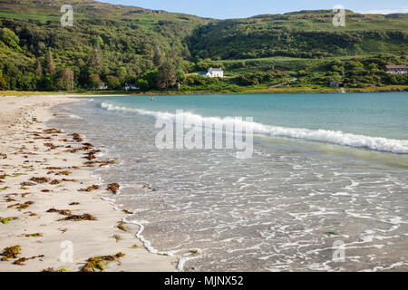 Le alghe lavato fuori a guscio bianco spiaggia di sabbia della baia di Calgary, Isle of Mull, Argyll and Bute, Scotland, Regno Unito Foto Stock