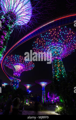 Il MARINA BAY, Singapore - Marzo 10, 2016: Night Shot di gente a guardare la luce mostra presso i giardini dalla baia supertrees durante il quale colorate vivacemente l Foto Stock