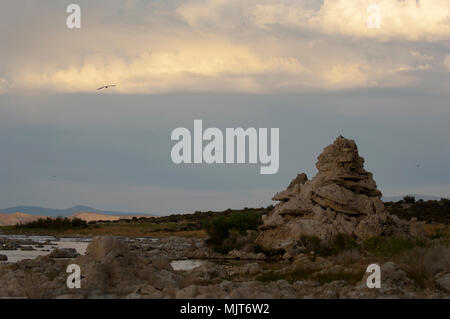 La luce del mattino nel sud il tufo area del Lago Mono. Foto Stock