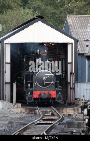 Welshpool e Llanfair locomotiva, Earl, nel suo motore passo, vicino a Welshpool,Powys Foto Stock
