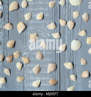 Un sacco di piccole conchiglie sulla luce sullo sfondo di legno. Foto Stock