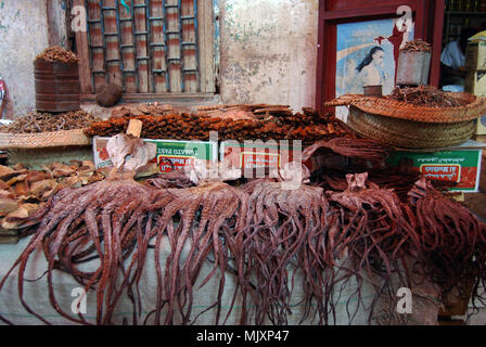 Octopus per la vendita al mercato del pesce di Stone Town Zanzibar Foto Stock