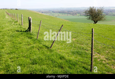 Esecuzione di recinzione lungo la parte superiore della scarpata chalk pendenza guardando verso sud-est su Vale of Pewsey, vicino Knap Hill, Wiltshire, Inghilterra, Regno Unito Foto Stock