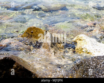 Schizzi dalle onde andando a sbattere contro la costa rocciosa, il mare è blu scuro Foto Stock