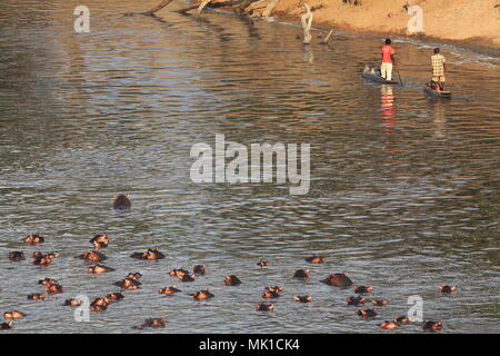 Canoa con pescatori accanto a Gruppo di Ippona a sud del fiume Luangwa, Zambia Foto Stock