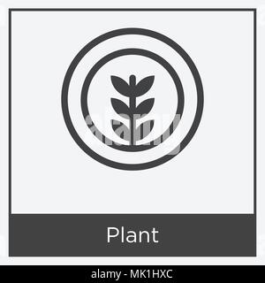 Icona di impianto isolato su sfondo bianco con telaio grigio, simbolo e segno Illustrazione Vettoriale