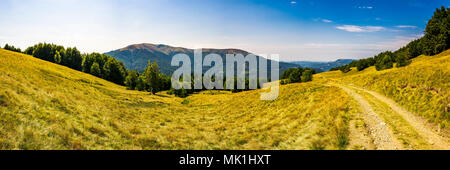 Panorama delle montagne dei Carpazi in estate. Mountain Apetska nella distanza. La strada attraverso il prato erboso e colline boscose. stupendo viaggio dest Foto Stock