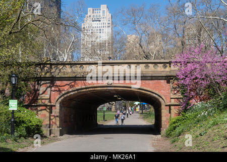 Arco Driprock Central Park sottopassaggio, NYC Foto Stock