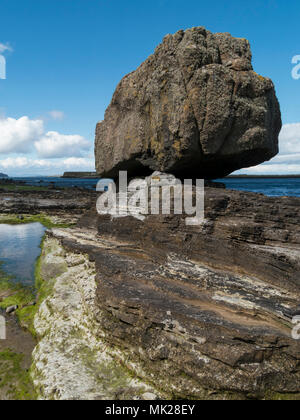 Giganteschi massi caduti sulla spiaggia rocciosa costa, un Corran, Staffin, Isola di Skye, Scotland, Regno Unito Foto Stock