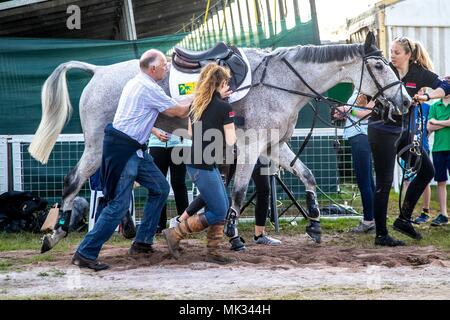 Cross Country. Classe Ballaghmor. Lo sposo. Finitura del cross country. Mitsubishi Badminton Horse Trials. Badminton. Regno Unito. 05/05/2018. Foto Stock