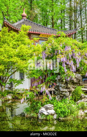 Hangzhou, Hangzhou, Cina. Il 7 maggio, 2018. Hangzhou, Cina-scenario del West Lake Scenic Area di Hangzhou, a est della Cina di Provincia dello Zhejiang. Credito: SIPA Asia/ZUMA filo/Alamy Live News Foto Stock