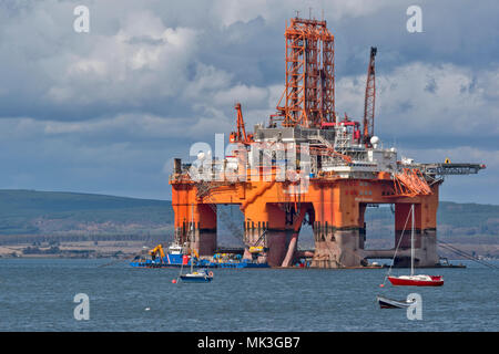 CROMARTY FIRTH SCOZIA WEST PHOENIX Oil Rig circondato da numerose piccole barche a vela giacente fuori del villaggio di Cromarty Foto Stock