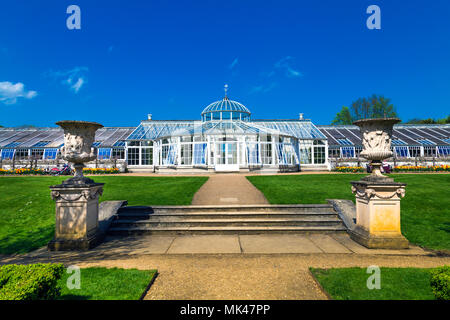 Il conservatorio a Chiswick House & Gardens, London, Regno Unito Foto Stock