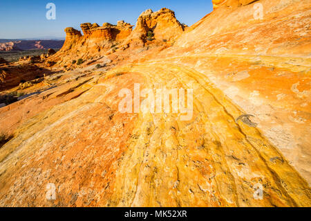 Arenaria multicolore strisce e formazioni pioppi neri americani accesso area sud Coyote Buttes Vermilion Cliffs National Monument in Arizona USA Foto Stock