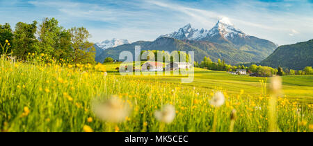 Bella vista della montagna idilliaco paesaggio di montagna con prati in fiore e cime picchi di montagna in una bella giornata di sole con cielo blu in primavera Foto Stock