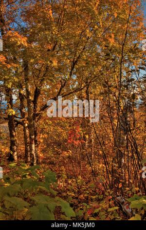 Autunno a Carlton picco delle montagne a dente di sega nel nord del Minnesota sulla sponda nord del Lago Superior Foto Stock