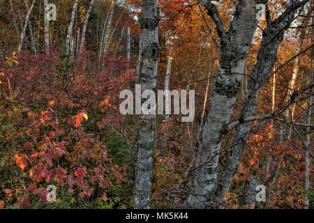 Autunno a Carlton picco delle montagne a dente di sega nel nord del Minnesota sulla sponda nord del Lago Superior Foto Stock