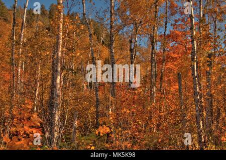 Autunno a Carlton picco delle montagne a dente di sega nel nord del Minnesota sulla sponda nord del Lago Superior Foto Stock