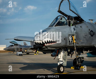 Un settantacinquesimo Fighter Squadron A-10 Thunderbolt II e un 1° Fighter Squadron F Raptor attendere per il loro primo martello di combattimento sortie nov. 2 a Eglin Air Force Base, Fla. A-10S, F-16s, F-22s e MQ-9s ha visitato la base di partecipare alla 53a esercizio di ala. La 86armi da caccia squadrone di combattimento del martello è un sistema di armi a un programma di valutazione per aria-terra di munizioni. (U.S. Air Force foto/Samuel King Jr.) Foto Stock