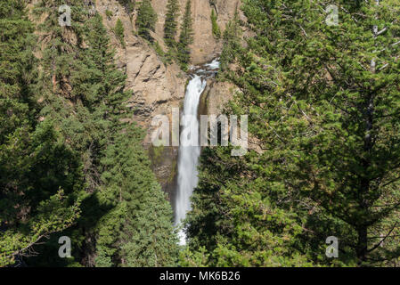 Guardando attraverso canyon a cascata attraverso la foresta di alberi. Foto Stock