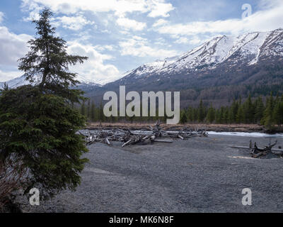 Eagle River, Chugach Mountains, Chugach State Park, Eagle River / Anchorage in Alaska,. Primavera Foto Stock